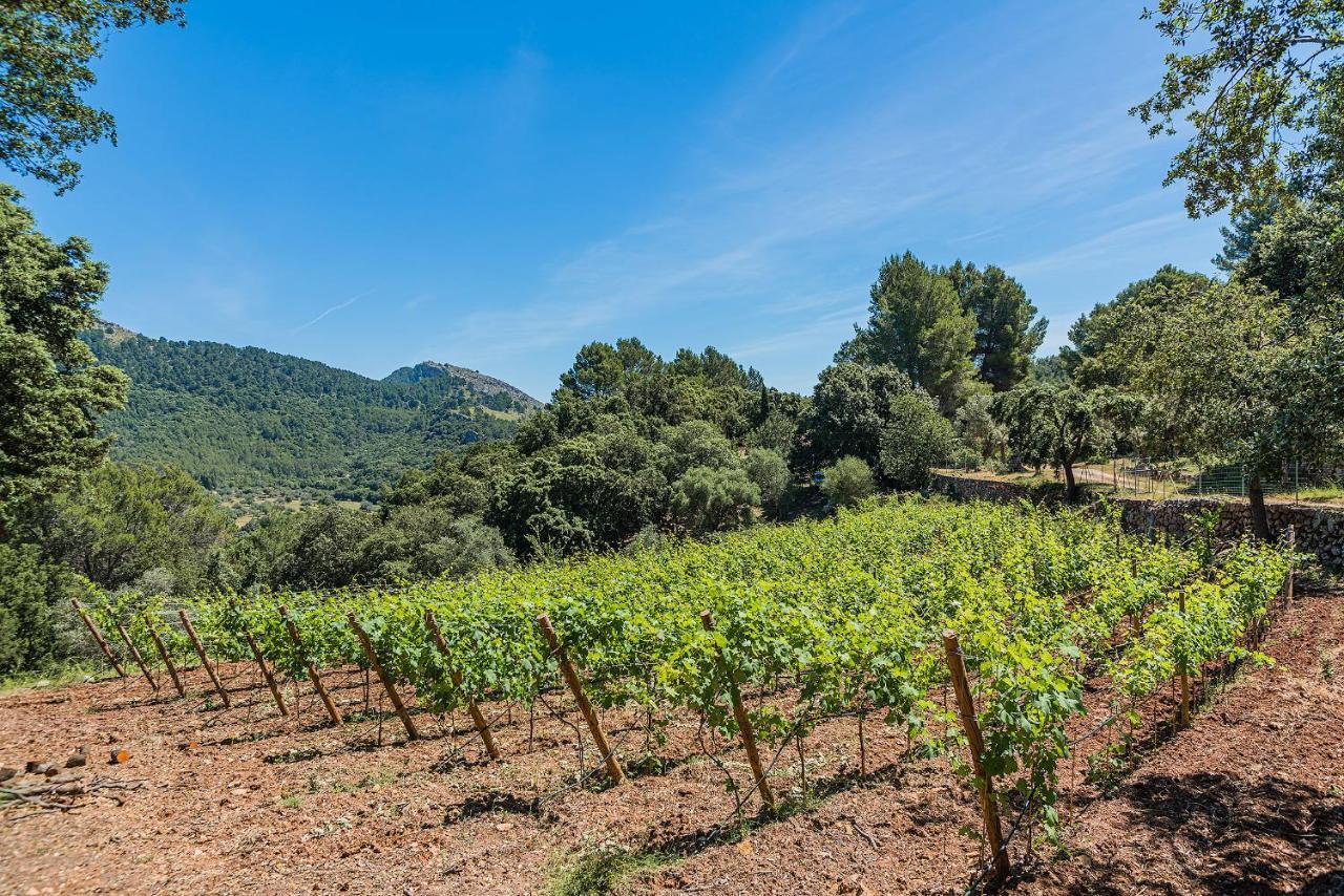 Picassa Villa Pollenca Luaran gambar