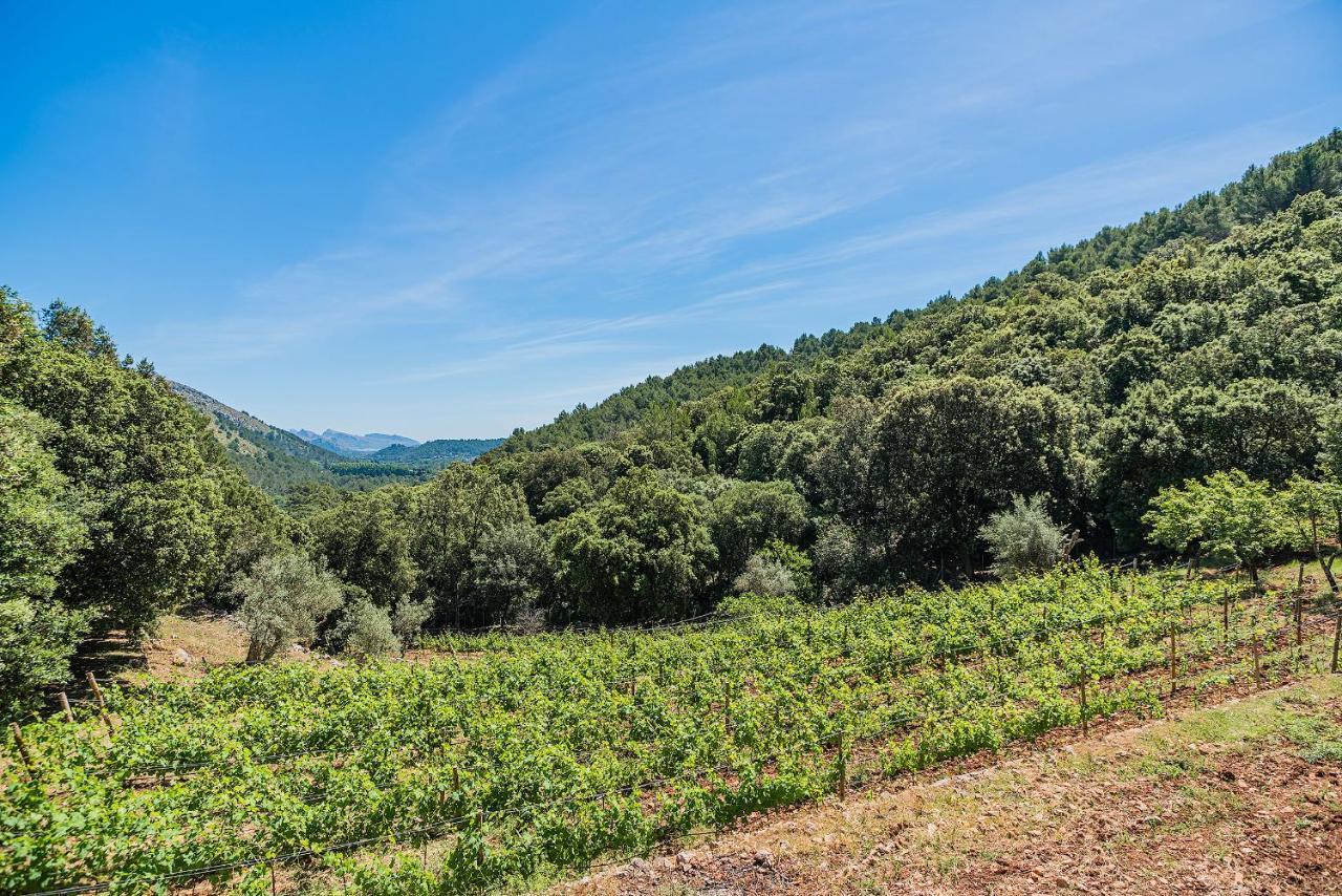 Picassa Villa Pollenca Luaran gambar