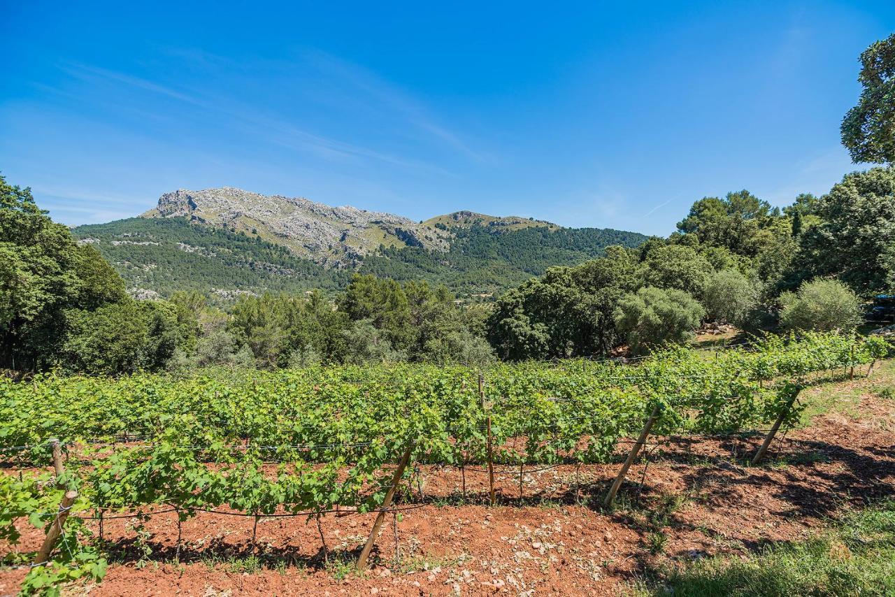 Picassa Villa Pollenca Luaran gambar