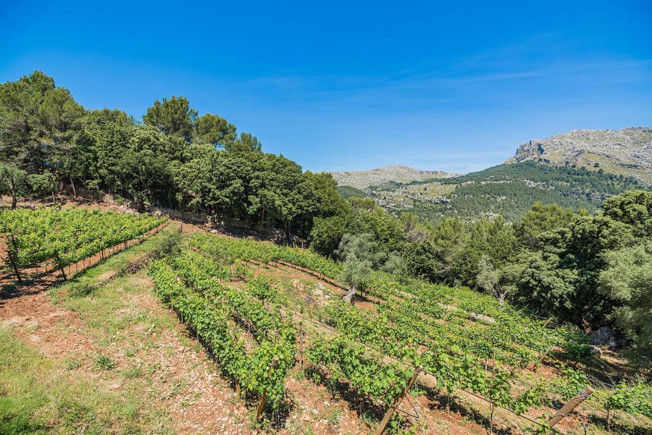 Picassa Villa Pollenca Luaran gambar